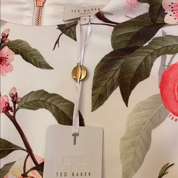 Ted Baker London Areea Peach Blossom Dress Size 1 - Picture 2 of 6